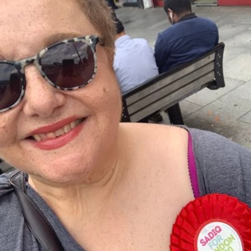 Anna Tomlinson, Ealing Labour Councillor for Hobbayne